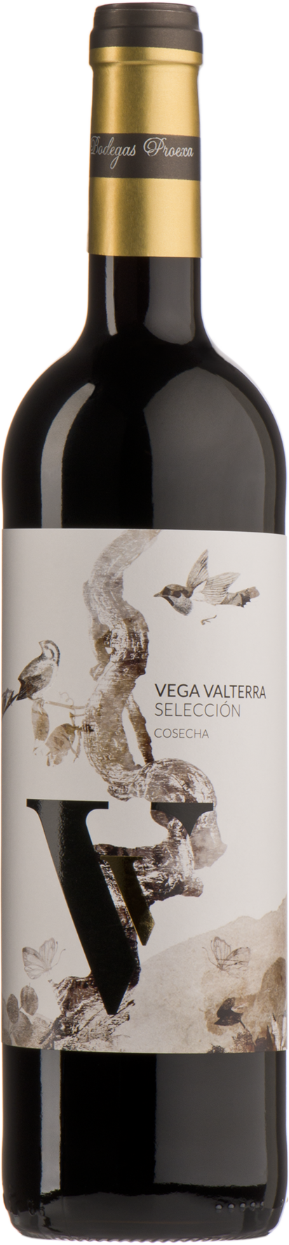 Bodegas Proexa Vega Valterra Selección