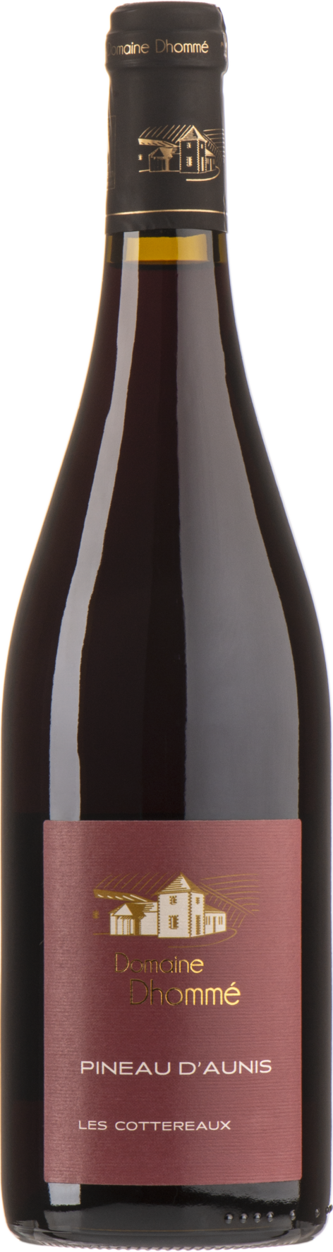 Domaine Dhommé Pineau D'Aunis