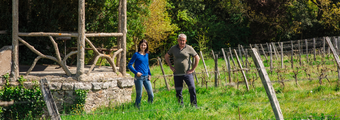 Domaine Dhommé