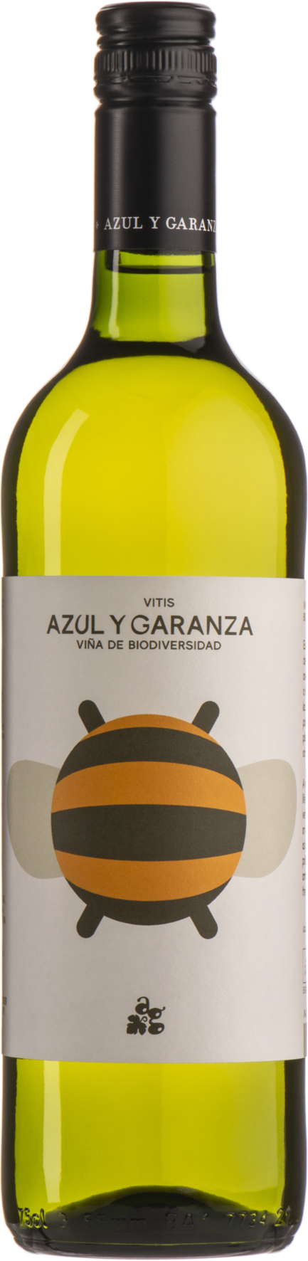 Azul y Garanza Vitis de Azul y Garanza Blanco