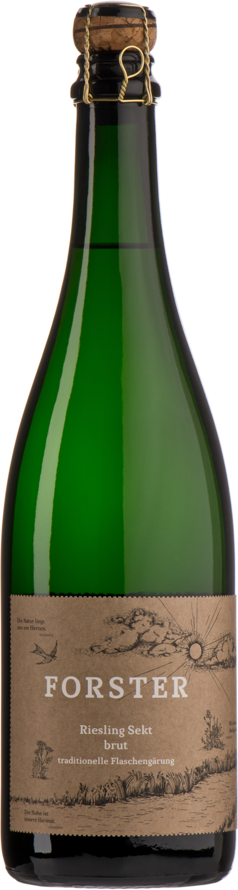 Forster Riesling Sekt Brut